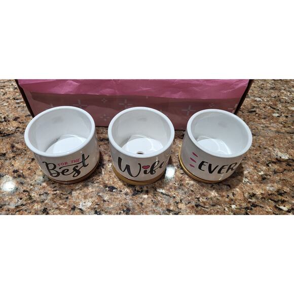 Succulent Pots with Bamboo Bottoms "Best Wife Ever" Plant Pots Gift for Wife - Picture 6 of 9